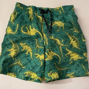 Boys Gap Dinosaur Swim Trunks